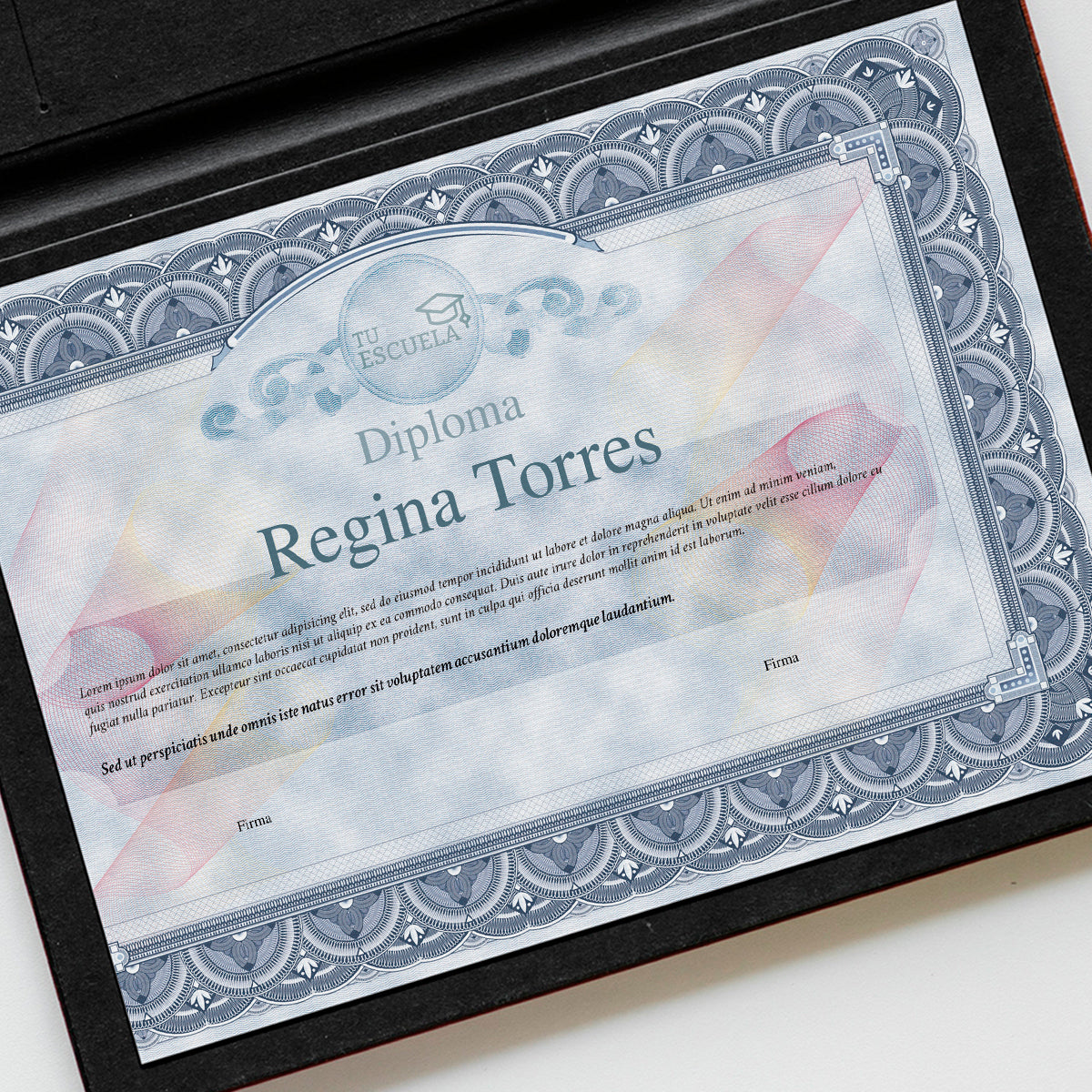 Diploma y Constancias