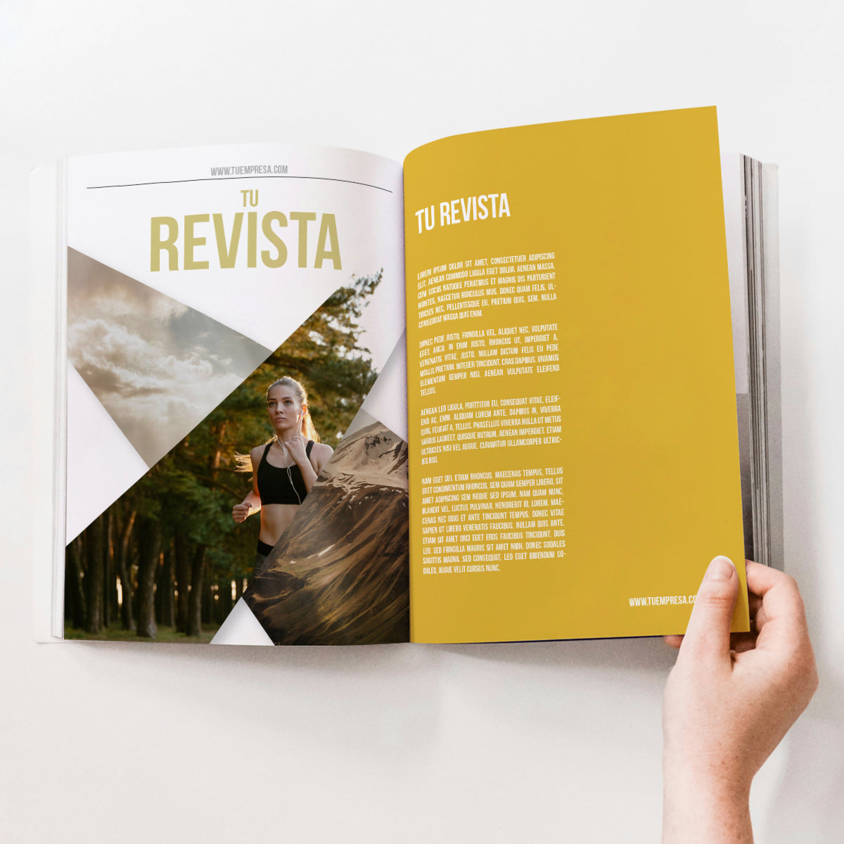 Revista